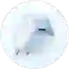 Củ cáp sạc