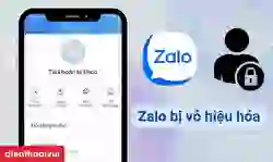 Nguyên nhân Zalo bị vô hiệu hóa và cách lấy lại