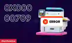 0x00000709