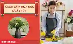 Cách cắm hoa cúc ngày Tết 2026 Bính Ngọ chi tiết, đẹp