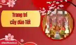 45 cách trang trí cây đào ngày Tết 2025 đẹp, ý nghĩa