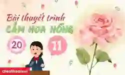 9 bài thuyết trình cắm hoa hồng 20/11 ngắn gọn 2025