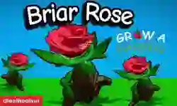 Briar Rose Grow a Garden: Cơ hội và cách trồng