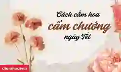 Cách cắm hoa cẩm chướng ngày tết 2026 Bính Ngọ đẹp