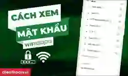 Cách xem mật khẩu Wifi trên OPPO đơn giản