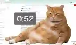 Cách cài đặt Cat Gatekeeper