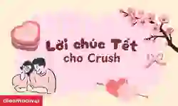 99+ Câu chúc Tết crush 2026 hay, thả thính, hài hước
