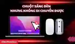 Chuột sáng đèn nhưng không di chuyển được phải làm sao
