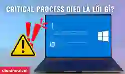 Critical Process Died