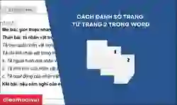 Cách đánh sô trang trong Word