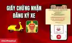 Giấy chứng nhận đăng ký xe