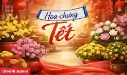 23 loại hoa chưng Tết 2026 Bính Ngọ đẹp, lâu tàn, may mắn cả năm