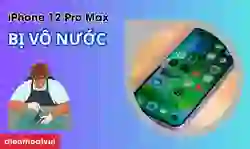 iPhone 12 Pro Max bị vô nước: Cách xử lý nhanh