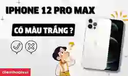 iPhone 12 Pro Max có màu trắng không? Có nên mua?