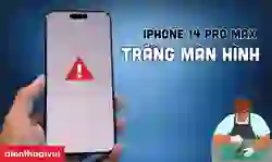 iPhone 14 Pro Max bị trắng màn hình