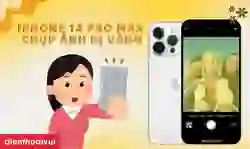iPhone 14 Pro Max chụp ảnh bị vàng: Cách khắc phục đơn giản