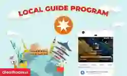 Google Local Guide Program là gì?