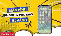 Màn hình iPhone 12 Pro Max bị vàng