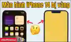 Màn hình iPhone 14 bị vàng
