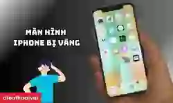 Màn hình iPhone bị vàng thì làm gì? Đâu là cách xử lý