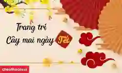 35 cách trang trí cây mai ngày Tết 2026 Bính Ngọ thu tài
