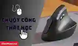 Chuột công thái học: Ưu điểm và cách chọn mua chuột tốt