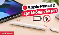 Apple Pencil 2 sạc không vào pin: Cách xử lý nhanh