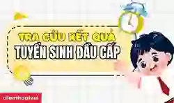 Cách tra cứu kết quả tuyển sinh đầu cấp