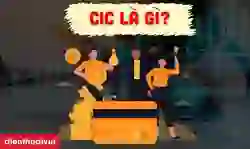 CIC là gì? Cách kiểm tra CIC online mới nhất