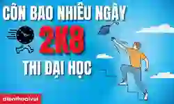 Còn bao nhiêu ngày nữa 2k8 thi đại học