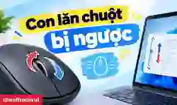 Con lăn chuột bị ngược: Cách chỉnh nhanh trên Windows, Mac