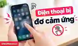 Điện thoại bị đơ cảm ứng: Cách khắc phục nhanh, hiệu quả