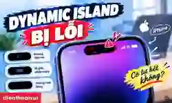 Dynamic Island bị lỗi: 7 cách sửa hiệu quả trên iPhone