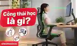 Công thái học là gì