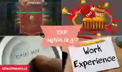Exp là gì trong game và các lĩnh vực khác?