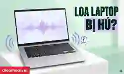 Loa laptop bị hú phải làm sao?