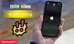 Cách xử lý màn hình điện thoại bị đốm sáng