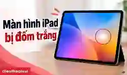 Màn hình iPad bị đốm trắng