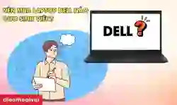 Nên mua laptop Dell nào cho sinh viên