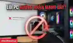 PC không nhận mạng dây: 9 cách khắc phục nhanh, dễ làm