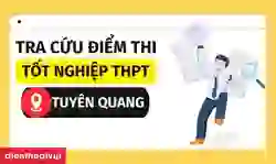 Cách tra cứu điểm thi tốt nghiệp THPT Tuyên Quang 2026 chính xác