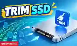 TRIM SSD