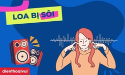 Loa bị sôi