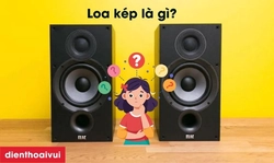 Loa kép là gì? So sánh loa kép và loa đơn