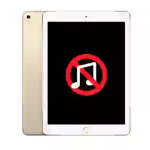 Sửa main - ic audio iPad Pro 9.7
