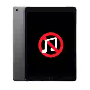 Sửa âm thanh iPad Gen 8