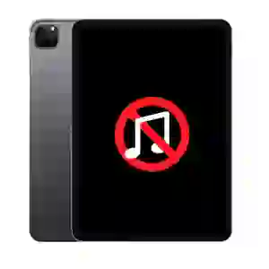 Sửa âm thanh iPad Pro 11 2020