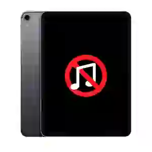 Sửa âm thanh iPad Pro 12.9 2018