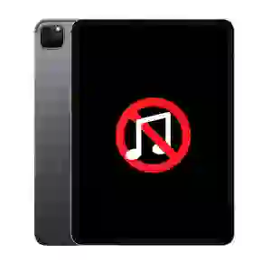 Sửa âm thanh iPad Pro 12.9 2020