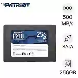 Ổ Cứng Laptop SSD Patriot P210 SATA3 256GB